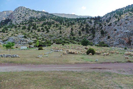 Tour image 5