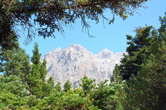 Tour image 7