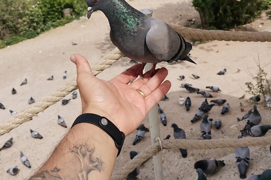 Tour image 3