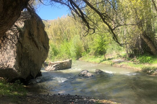 Tour image 7