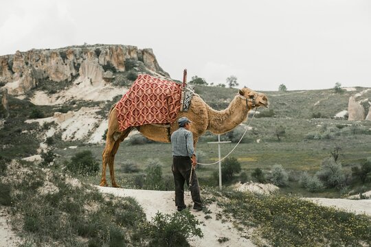 Tour image 1